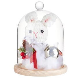 BENECREAT 170x235mm Glass Display Dome, Cloche with Round Top Handle, Everlasting Flower Glass Cover with Wooden Base for Specimens Plants DIY Decor