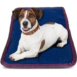 Jeffers Pet Comfort Dog Pillow, Tiny 12" x 18", Navy – Machine Washable Dog Bed for House, Sofa, Crate & Travel – Poly Cotton Shell, Winter Warmth, Soft, Comfy, Durable, Top Pet Bedding