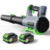 Leaf Blower Cordless with 2× 5.0Ah Batteries and Charger, 21V