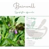 10 Zäpfchen mit Beinwell, Kiefernharz, Propolis, und Ringelblume (2 x
