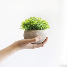 THE BLOOM TIMES 2 Pcs Fake Plant for Bathroom/Home Office Decor, Small Artificial Faux Greenery for House Decorations (Potted Plants)