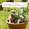 Plantura SF Nematodes Against Ants - 100% Organic & Highly