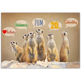 A4 XXL 20th Birthday Card with Envelope – Elegant Birthday Card – 20th Birthday Card for Men and Women from BREITENWERK