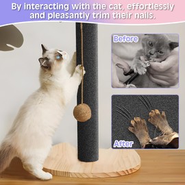 BNOSDM Self-Adhesive Dog Nail File Scratcher Emery Paper Cat Nail Scratch Board Replacement Sandpaper, Cuttable Pet Furniture Scratching Pad Protector for Door and Wall (12in*16ft, Black)