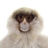 HANSA Spider Monkey Plush 12" - NEW - 3680