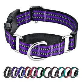 Hikiko Martingale Collar for Dogs Reflective Nylon Dog Collar with Quick Release Buckle Adjustable Training No Slip Dog Collar (Large, Purple)