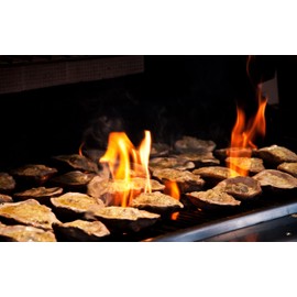 Loftin Oysters Ceramic Reusable Chargrilling, Cooking Oyster Shells, set of 12. Great for all Seafood.