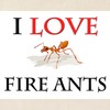 CafePress I Love Fire Ants Tote Bag Reusable Natural Beige