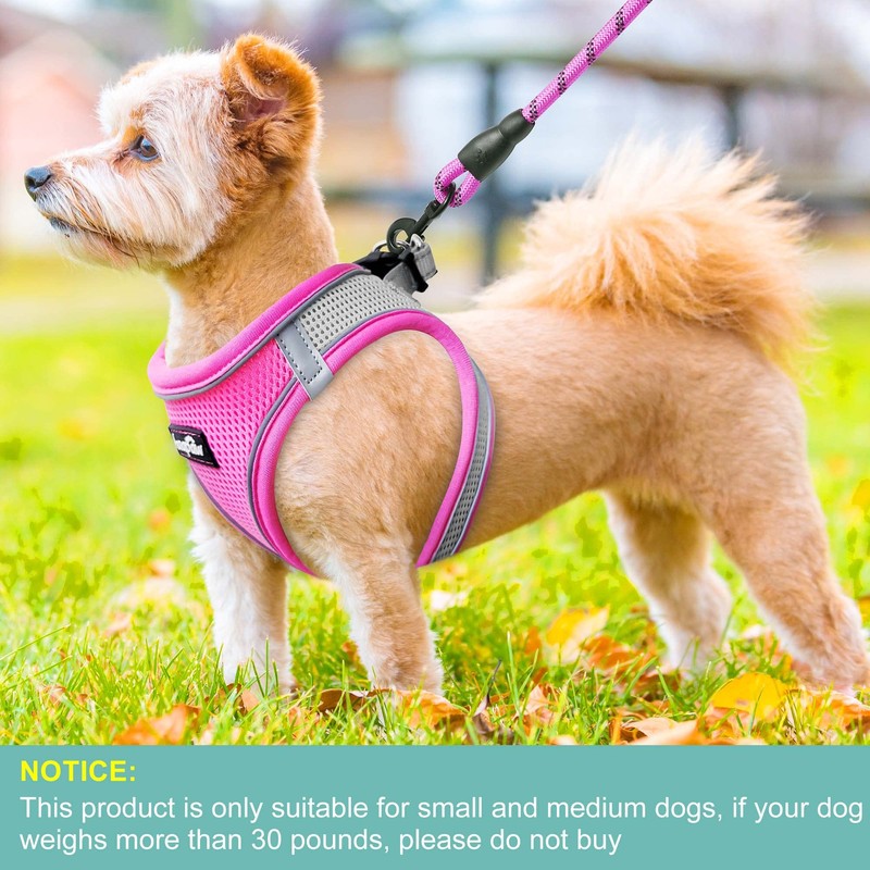 haapaw Dog Harness with Leash Set, No Pull Adjustable Reflective