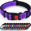 Taglory Reflective Dog Collar with Safety Locking Buckle, Adjustable Nylon