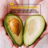 Tipson Avocado Peach and Ginger | Caffeine Free | All