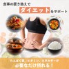 完全栄養食ー Complete nutrition/ココア