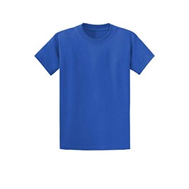 Clothe Co. Mens Heavyweight Cotton Big & Tall T-Shirt Plain Tee Royal, 2XLT