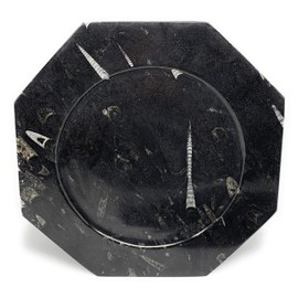 2914 Grams, 2 Plates set, 12" Large Unique Pattern Octagon Shape Black Fossils Orthoceras Plates from Morocco, B8268