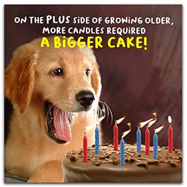 Funny Birthday Card Her, Birthday Card Female Funny, Happy Birthday Card Her, Birthday Card Her Funny, Funny Birthday Card Women, Female Birthday Card, Funny Birthday Cards Her, 133x133mm