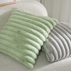 DEELAND Pack of 2,Double-Sided Faux Fur Plush Decorative Throw Pillow