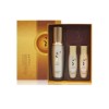 DANAHAN 효용 에센스 기획 세트 다나한 Efficiency Essence Planning Set Danahan