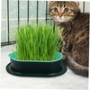 BESPORTBLE 2 Sets Hydroponic Cat Grass Planter Set Soilless Catnip