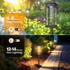 TEZKOLES 8 Pack Solar Pathway Lights Outdoor, IP65 Waterproof Solar