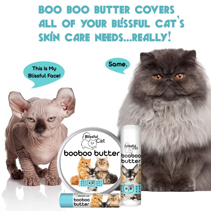 The Blissful Cat Boo Butter