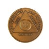 19 Year AA Medallion Traditional Bronze Raised Center Sobriety Chip