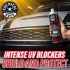 Chemical Guys Nice and Wet Tire Shine (Aerosol) (2 Pack)