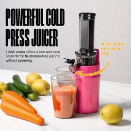 Ventray Ginnie Mini Cold Press Juicer, Small Slow Masticating Juicer for Vegetables and Fruits, High Juice Yield, Easy to Clean, Space-Saving, Fit for Personal/Travel/Picnic/Office - Pink