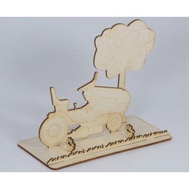 Money gift, lawn mower, garden, lawn tractor, garden care, lawn, plug-in