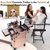 Frenessa Rolling Makeup Train Case 3 in 1 Professional Cosmetic