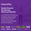 NaturesPlus Magnesium Glycinate Capsules - Gentle Magnesium Supplement for Day