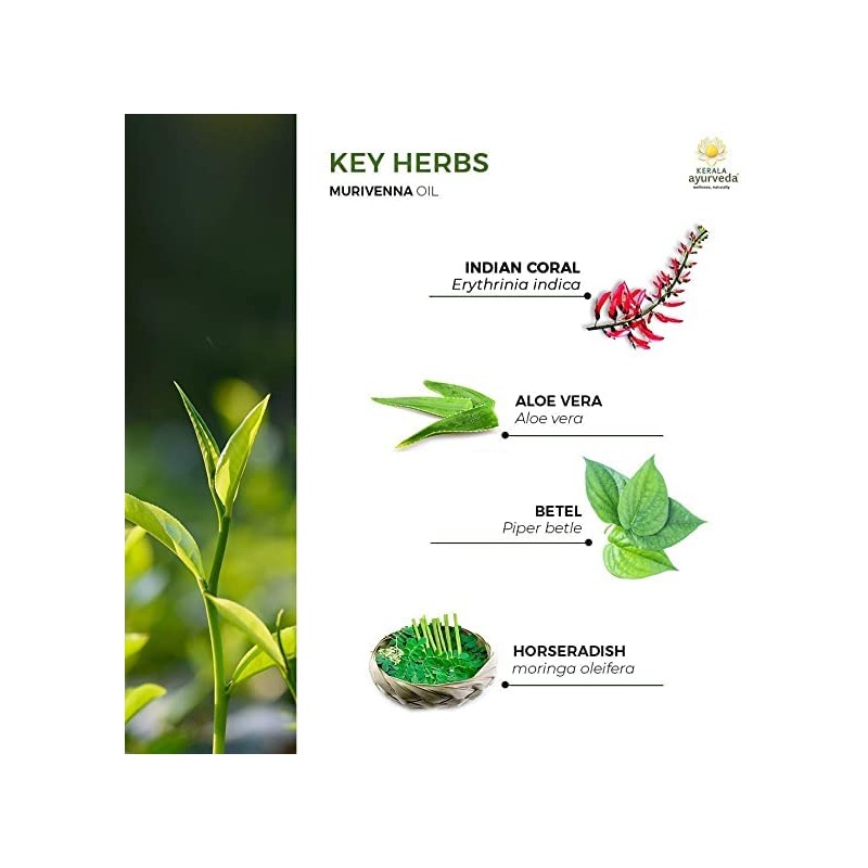 Kerala Murivenna Oil 100ml Kerala Ayurveda