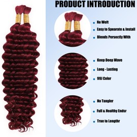 Dabork Human Braiding Hair 20 Inch 100g 2 Bundles/Pack Bulk Deep Wave No Weft Human Hair for Boho Box Braids Extensions 99J Burgundy