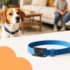 [2 Pack] Waterproof AirTag Dog Collar Holder Case, Silicone Full-Body
