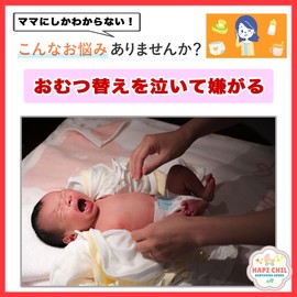 HapiChil Comfortable Butt Wiping Warmer, Nursery Select, Portable, USB Powered, Baby Wipe, Japanese Instruction Manual Included