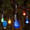 Xtricity Incandescent S14 Edison Light Bulb, String Light Replacement, E26
