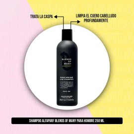 Shampoo Anticaspa Alfaparf Blends of Many Rebalancing Low Sin Sal