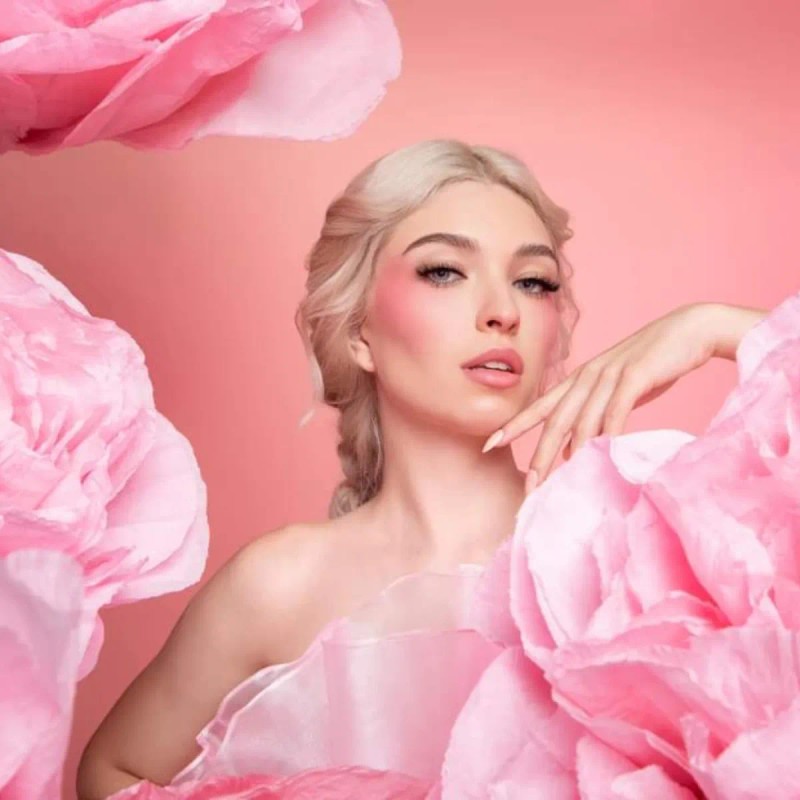 Rubor Liquido Liquid Blush Pink Up Tono Del Maquillaje Sunsent