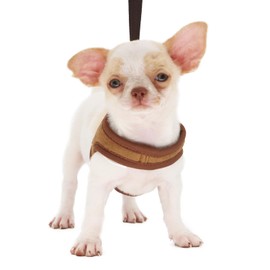 LOPHIPETS Lightweight Dog Harness with Leash Set for Small Dogs Chihuahua Yorkie Puppy Cat-Coffee/XS