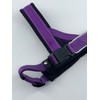 DOG & CO Norwegian Performance Harness, Large, Purple