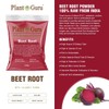 Red Beet Root Powder 5 lbs. Bulk Beta Vulgaris Nitric