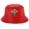 Embroidered Cymru Feathers Bucket Hat Unisex Prince of Wales Welsh