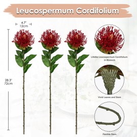 Hollyone 3Pcs Red Artificial Flowers Mums Fall Spider Mum Flower Silk 28.3'' Long Stem Fake Chrysanthemum Flowers Leucospermum Cordifolium Arrangement Faux Pincushion Flowers Bouquet Home Decor