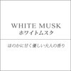 晴香堂(HARUKADO) カーオール 車用 芳香剤 ハネア プレミア ホワイトムスク 2.3g 1874