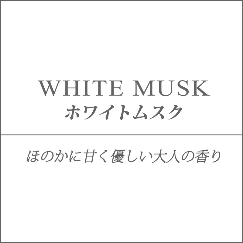 晴香堂(HARUKADO) カーオール 車用 芳香剤 ハネア プレミア ホワイトムスク 2.3g 1874