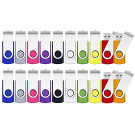 2GB Flash Drive, SRVR Thumb Drives 20 Pack, 2 Gig USB Drive with Lanyards Metal Swivel 2GB USB Memory Stick Pen Drive with LED Indicator(20 Mixed Color)