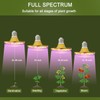 HONORSEN LED Grow Lights for Indoor Plants, Full Spectrum Plant