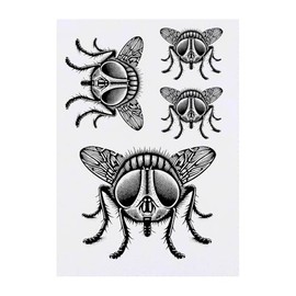 4 x 'House Fly' Temporary Tattoos - Water Resistant, Skin-Safe, Non-Toxic Transfers, Mixed Sizes (TO00083272)