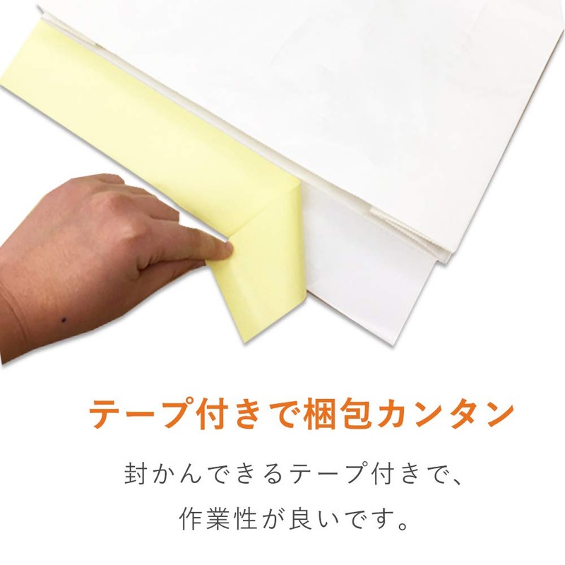 Cardboard One Waterproof (Laminated) Delivery Bag S Height 12.6 inches