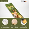 Häfft® Bookmark Calendar 2026 with 12 Bookmarks Including Monthly Calendar,