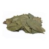 prademir Laurel Leaves 1A Quality 50 g Laurel Leaves Dried